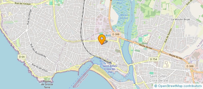 localisation de l'entreprise MONSIEUR YANN LE GOFF  SAINT-GILLES-CROIX-DE-VIE