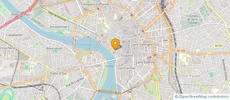 localisation de l'entreprise MONSIEUR YANN LEBLOND  TOULOUSE
