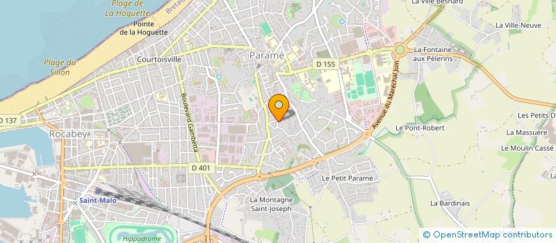 localisation de l'entreprise MONSIEUR YANN LECOCQ  SAINT-MALO