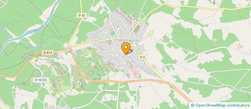 localisation de l'entreprise MONSIEUR YANN LEON à MONTAGNAC