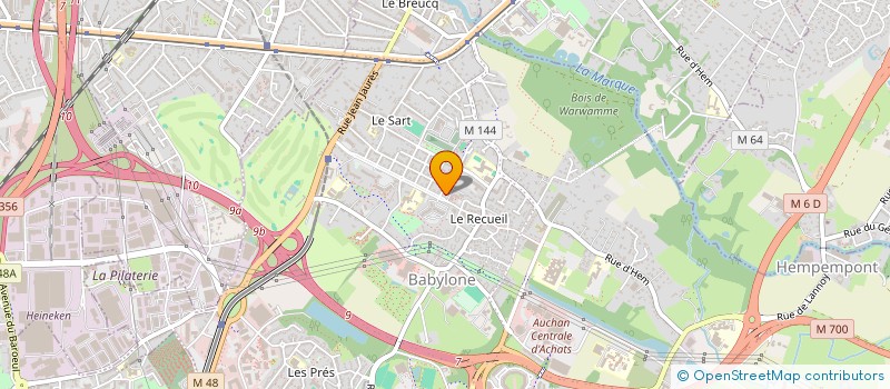 localisation de l'entreprise MONSIEUR YANN-MICKAEL DUDZIAK  VILLENEUVE-D'ASCQ