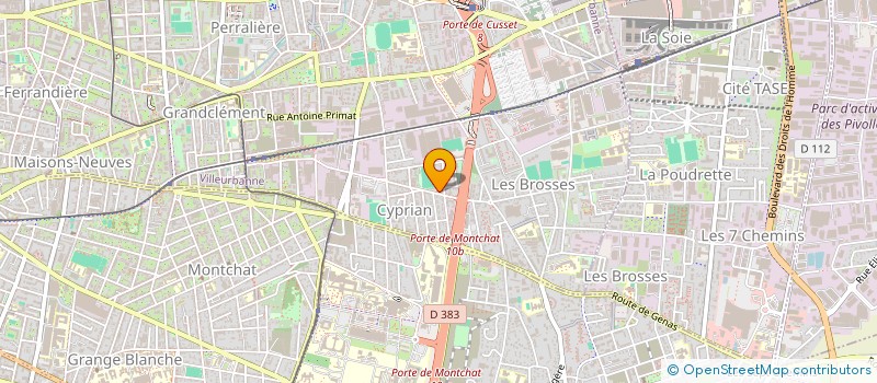 localisation de l'entreprise MONSIEUR YANN MWADI  VILLEURBANNE