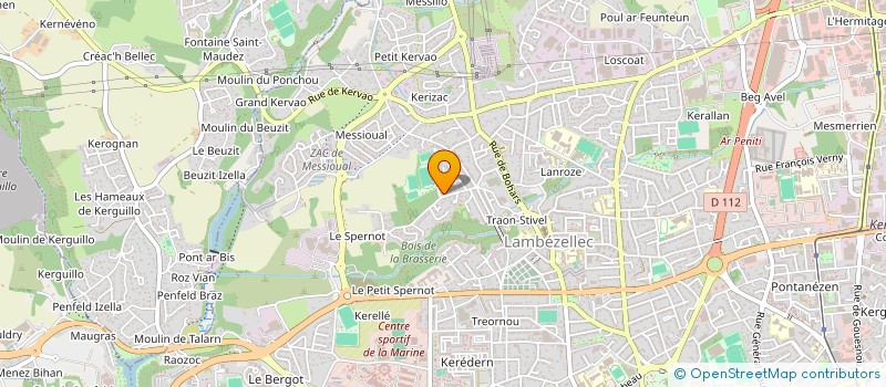 localisation de l'entreprise MONSIEUR YANN NYDEGGER à BREST