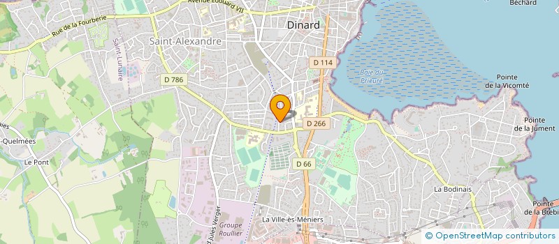 localisation de l'entreprise MONSIEUR YANN ROCHARD  DINARD