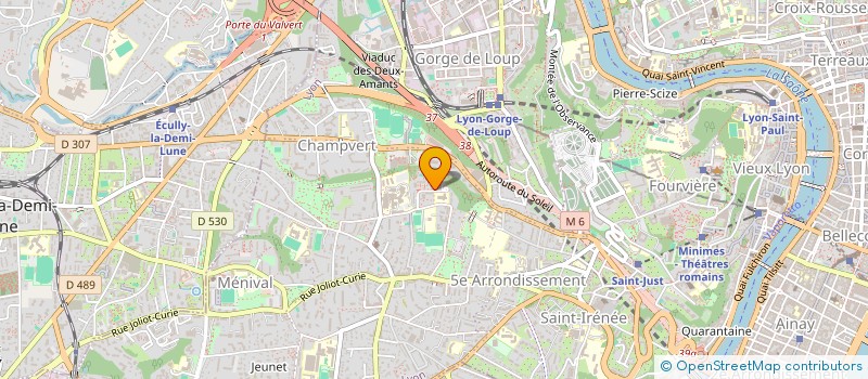 localisation de l'entreprise MONSIEUR YANN ROS  LYON