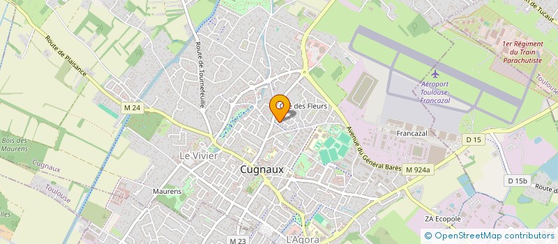 localisation de l'entreprise MONSIEUR YANN SAVARY--SOUCASSE  CUGNAUX