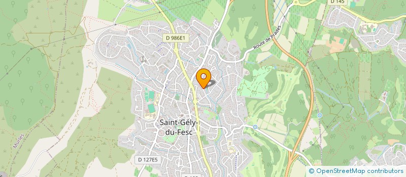 localisation de l'entreprise MONSIEUR YANNICK BELAT à SAINT-GELY-DU-FESC