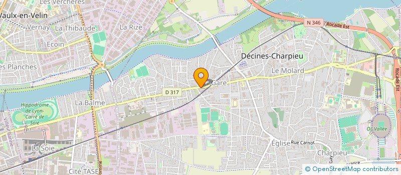 localisation de l'entreprise MONSIEUR YANNICK BOIREAU  DECINES-CHARPIEU