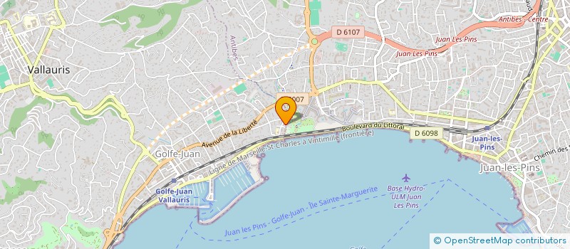 localisation de l'entreprise MONSIEUR YANNICK BORGES à VALLAURIS