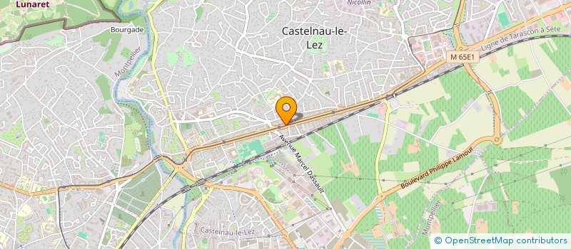 localisation de l'entreprise MONSIEUR YANNICK COGO à CASTELNAU-LE-LEZ