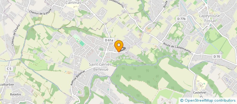 localisation de l'entreprise MONSIEUR YANNICK D'AMELIO  SAINT-GENIES-BELLEVUE