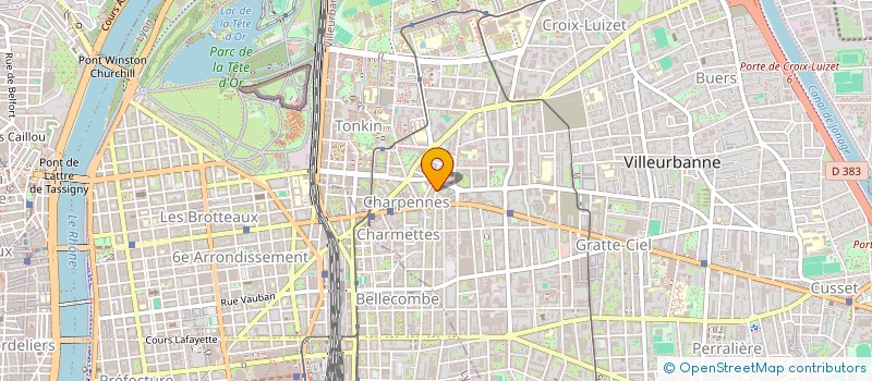 localisation de l'entreprise MONSIEUR YANNICK FOUGERET  VILLEURBANNE