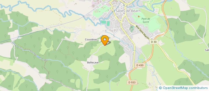 localisation de l'entreprise MONSIEUR YANNICK GRAPPILLARD à SALIES-DE-BEARN