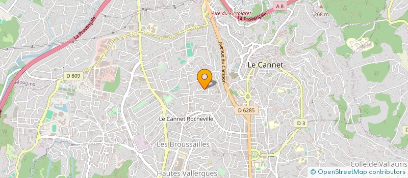 localisation de l'entreprise MONSIEUR YANNICK GRUN à LE CANNET