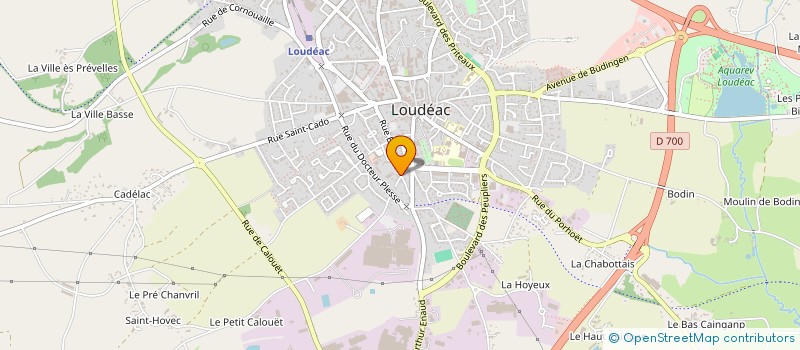 localisation de l'entreprise MONSIEUR YANNICK HAMEAU à LOUDEAC