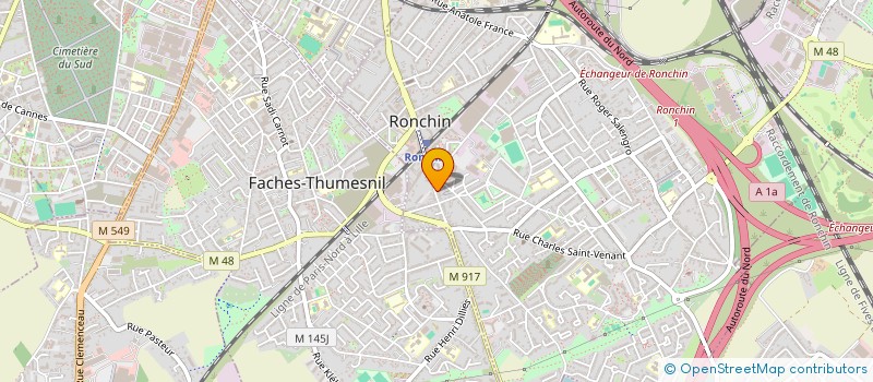 localisation de l'entreprise MONSIEUR YANNICK HOMOLENKO  RONCHIN