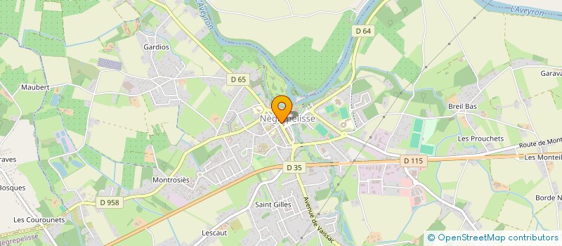 localisation de l'entreprise MONSIEUR YANNICK MICHELETTO  NEGREPELISSE