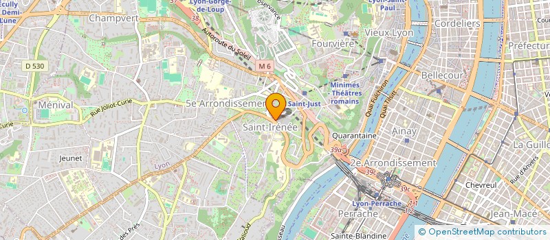 localisation de l'entreprise MONSIEUR YANNICK MINYA MI MVELE  LYON