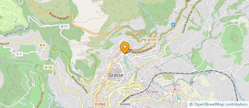 localisation de l'entreprise MONSIEUR YANNICK PELAYO  GRASSE