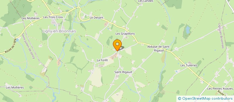 localisation de l'entreprise MONSIEUR YANNICK PERARD  LIGNY-EN-BRIONNAIS