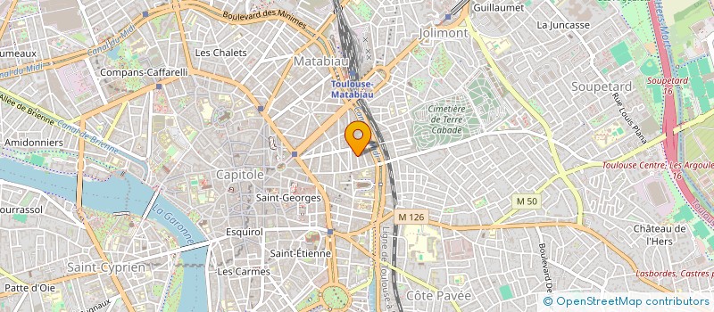 localisation de l'entreprise MONSIEUR YANNICK REYNARD à TOULOUSE