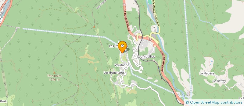 localisation de l'entreprise MONSIEUR YANNICK RIOT  LES HOUCHES