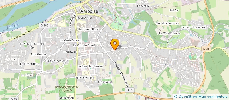 localisation de l'entreprise MONSIEUR YANNICK SALUDEN  AMBOISE