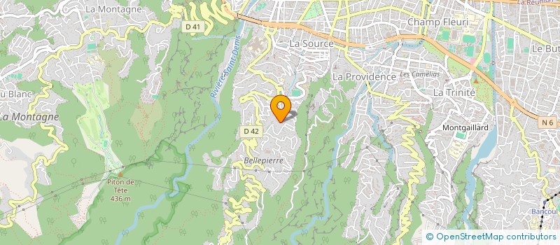 localisation de l'entreprise MONSIEUR YANNIS BUISSON DE LARICHAUDY  SAINT-DENIS