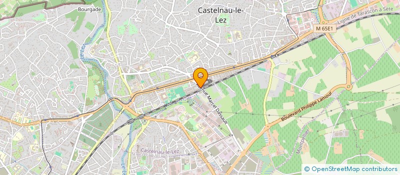 localisation de l'entreprise MONSIEUR YANNIS DELMAS  CASTELNAU-LE-LEZ