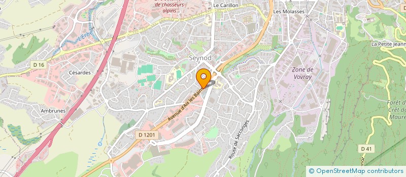 localisation de l'entreprise MONSIEUR YASAR CITAK à ANNECY