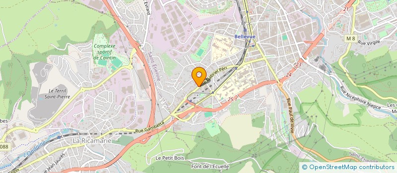 localisation de l'entreprise MONSIEUR YASIN KARAER  SAINT-ETIENNE