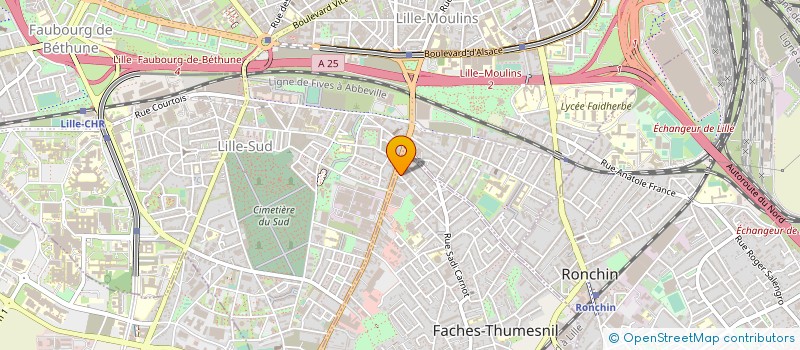 localisation de l'entreprise MONSIEUR YASSER NASSEREDDINE  FACHES-THUMESNIL