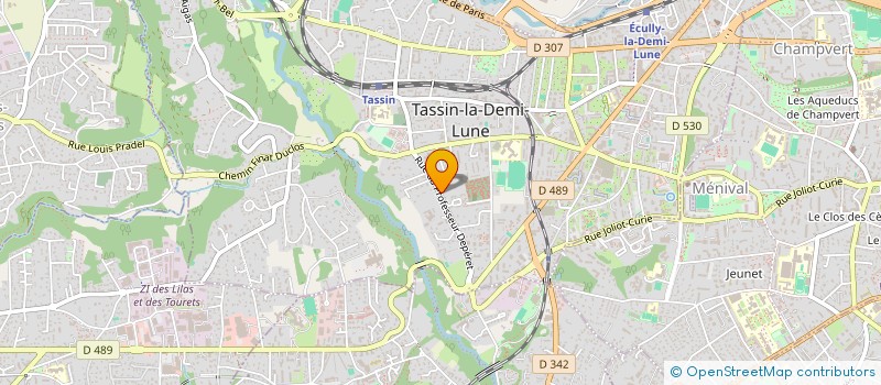 localisation de l'entreprise MONSIEUR YASSINE NAIMI  TASSIN-LA-DEMI-LUNE