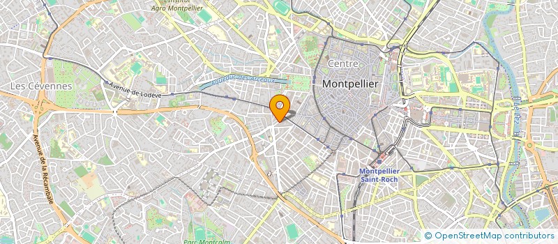 localisation de l'entreprise MONSIEUR YIGIT KOCGOZ à MONTPELLIER