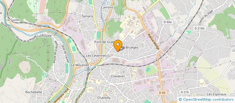 localisation de l'entreprise MONSIEUR YILDIRAY TOK à ALES