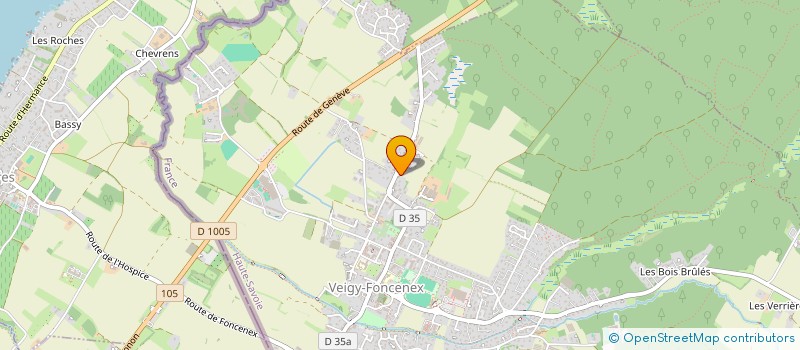 localisation de l'entreprise MONSIEUR YLANN ABONNENC  VEIGY-FONCENEX