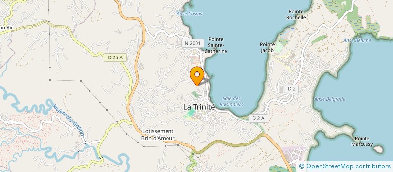 localisation de l'entreprise MONSIEUR YOAN CHERUBIN  LA TRINITE