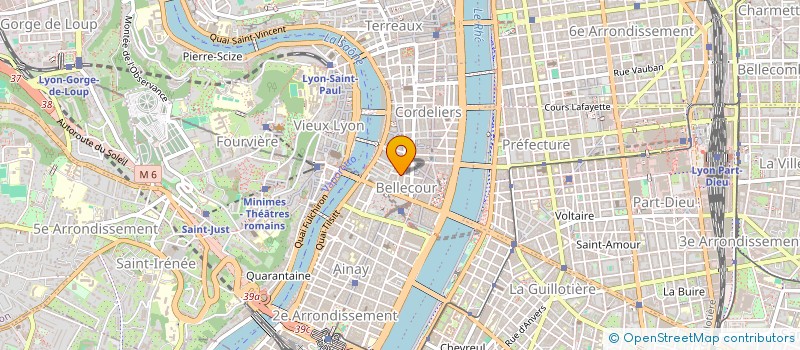 localisation de l'entreprise MONSIEUR YOAN DE SOUSA  LYON