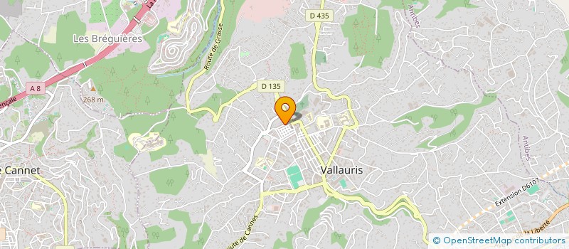 localisation de l'entreprise MONSIEUR YOAN GONTCHAROFF à VALLAURIS
