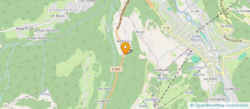 localisation de l'entreprise MONSIEUR YOANN CHAPUIS  LES GETS