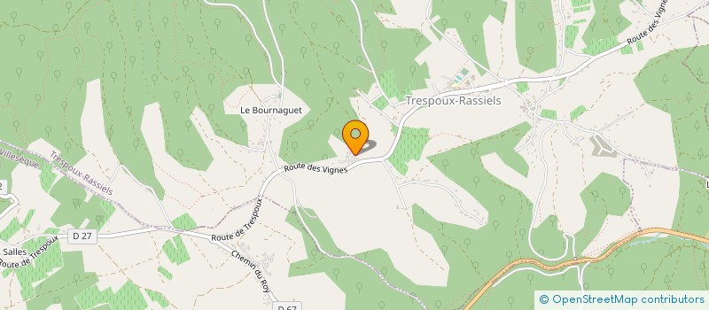 localisation de l'entreprise MONSIEUR YOANN CHOUDJAYE  TRESPOUX-RASSIELS