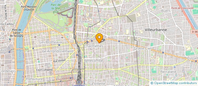 localisation de l'entreprise MONSIEUR YOANN ELIO  VILLEURBANNE