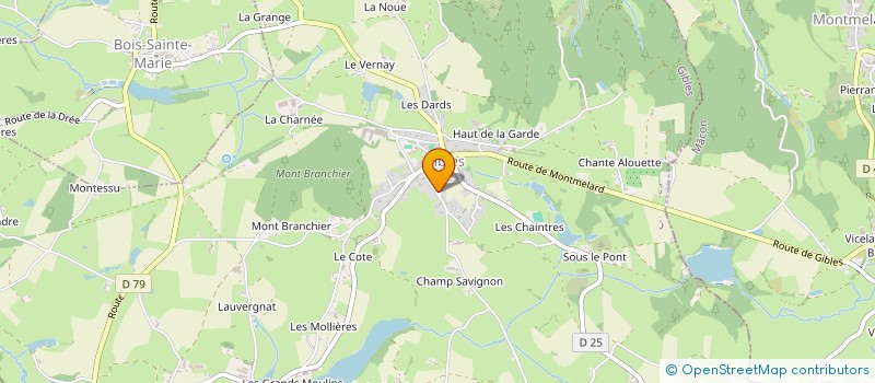 localisation de l'entreprise MONSIEUR YOANN GEOFFRAY  GIBLES