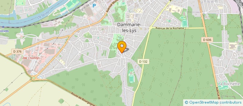 localisation de l'entreprise MONSIEUR YOANN MAROT à DAMMARIE-LES-LYS