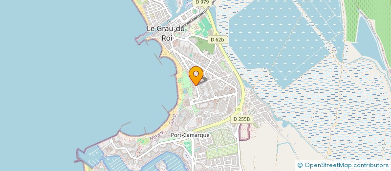 localisation de l'entreprise MONSIEUR YOANN NIKODEM  LE GRAU-DU-ROI