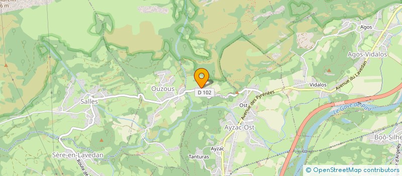 localisation de l'entreprise MONSIEUR YOANN PIC  SERE-EN-LAVEDAN