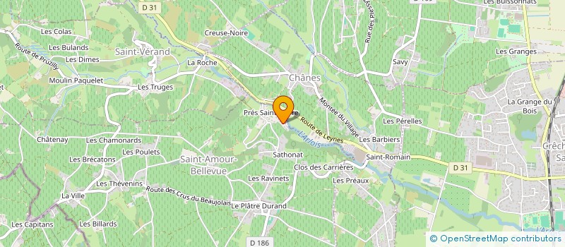 localisation de l'entreprise MONSIEUR YOANN PLASSE  SAINT-AMOUR-BELLEVUE