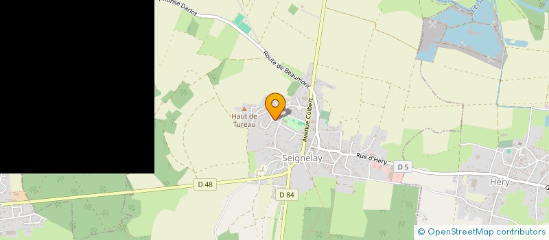 localisation de l'entreprise MONSIEUR YOANN TECHER  SEIGNELAY