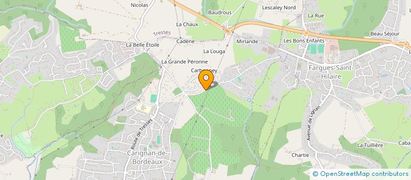 localisation de l'entreprise MONSIEUR YOHAN ALIAS à CARIGNAN-DE-BORDEAUX