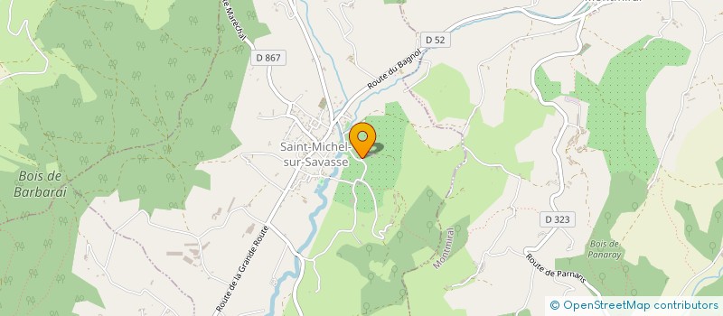 localisation de l'entreprise MONSIEUR YOHAN BERNE  SAINT-MICHEL-SUR-SAVASSE